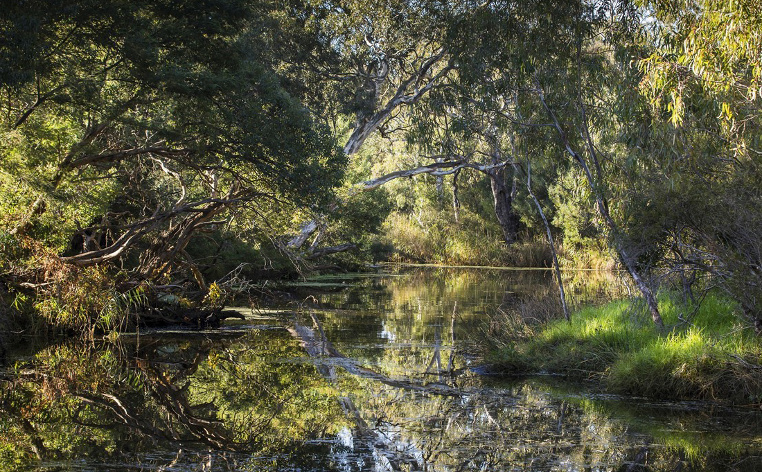 Vegetation quality and extent